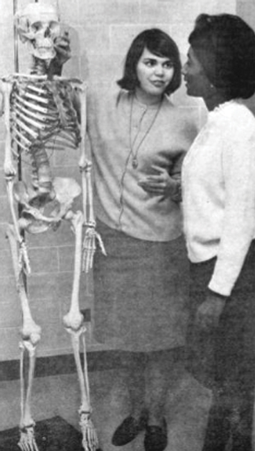 Plair with skeleton