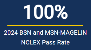 NCLEX pass rate 2024