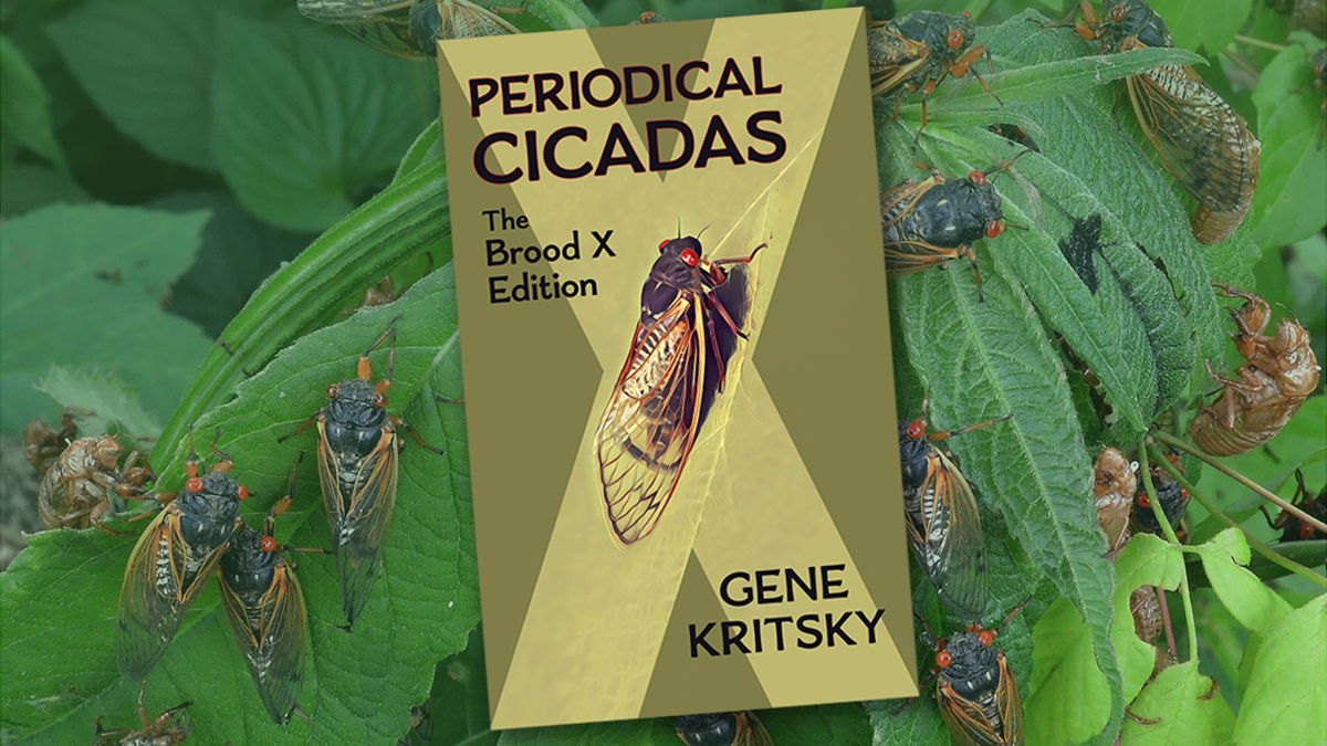 Cover of Periodical Cicadas: The Brood X Edition