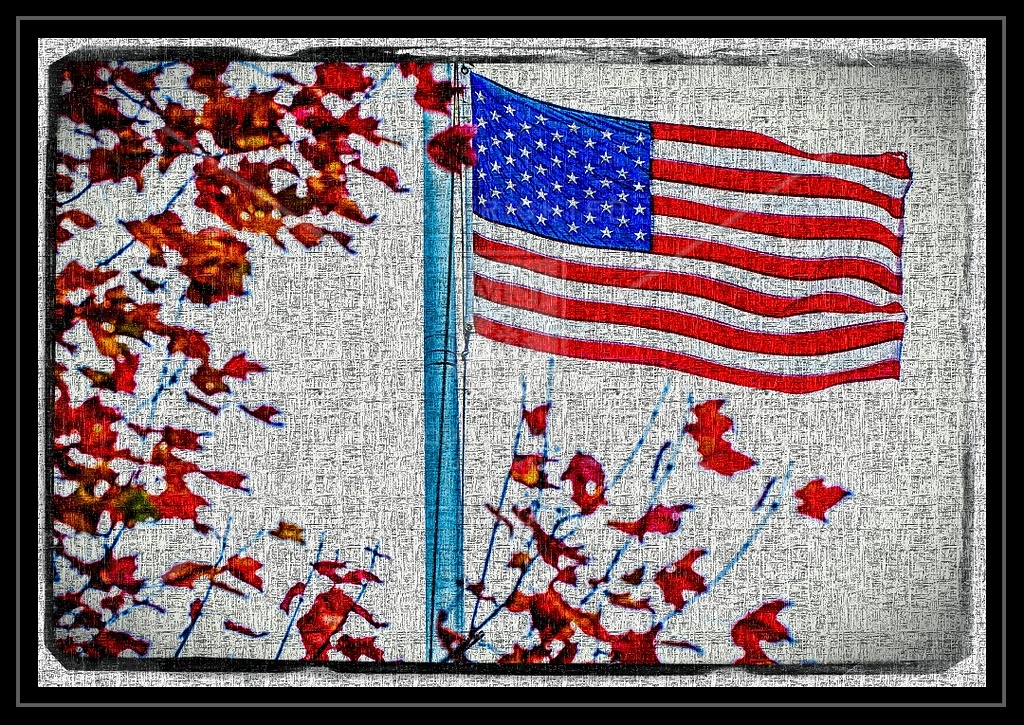 American Flag