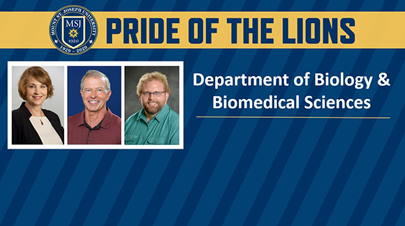 pride of the lions biology 