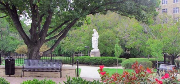 Mount St. Joseph News