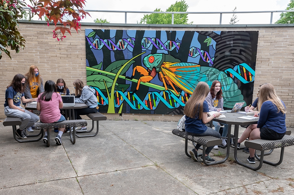 MSJ students sitting at benches beside MSJ Cicada Mural at Mount St. Joseph University