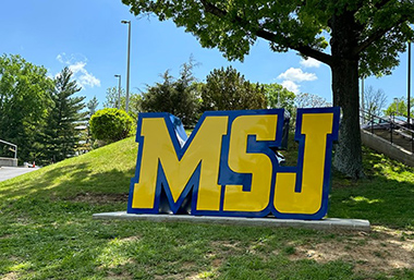 MSJ letters
