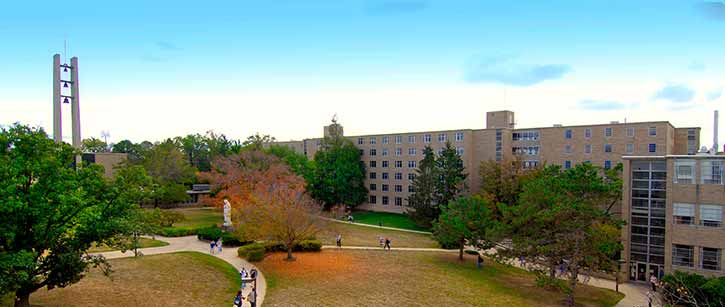 students walking in the quad