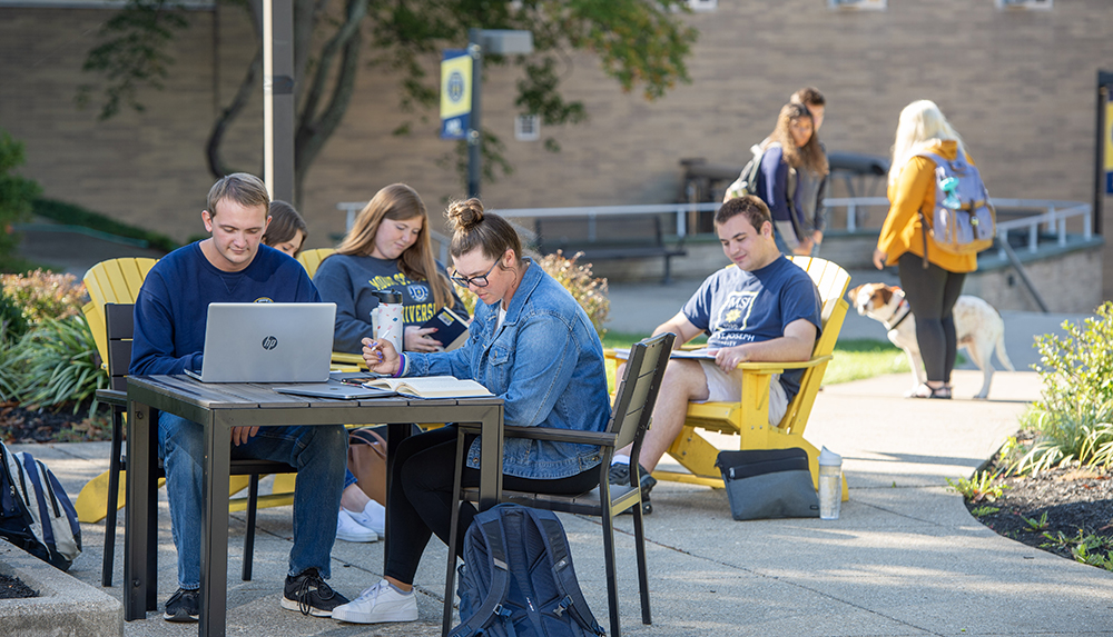 students on laptops in quad.