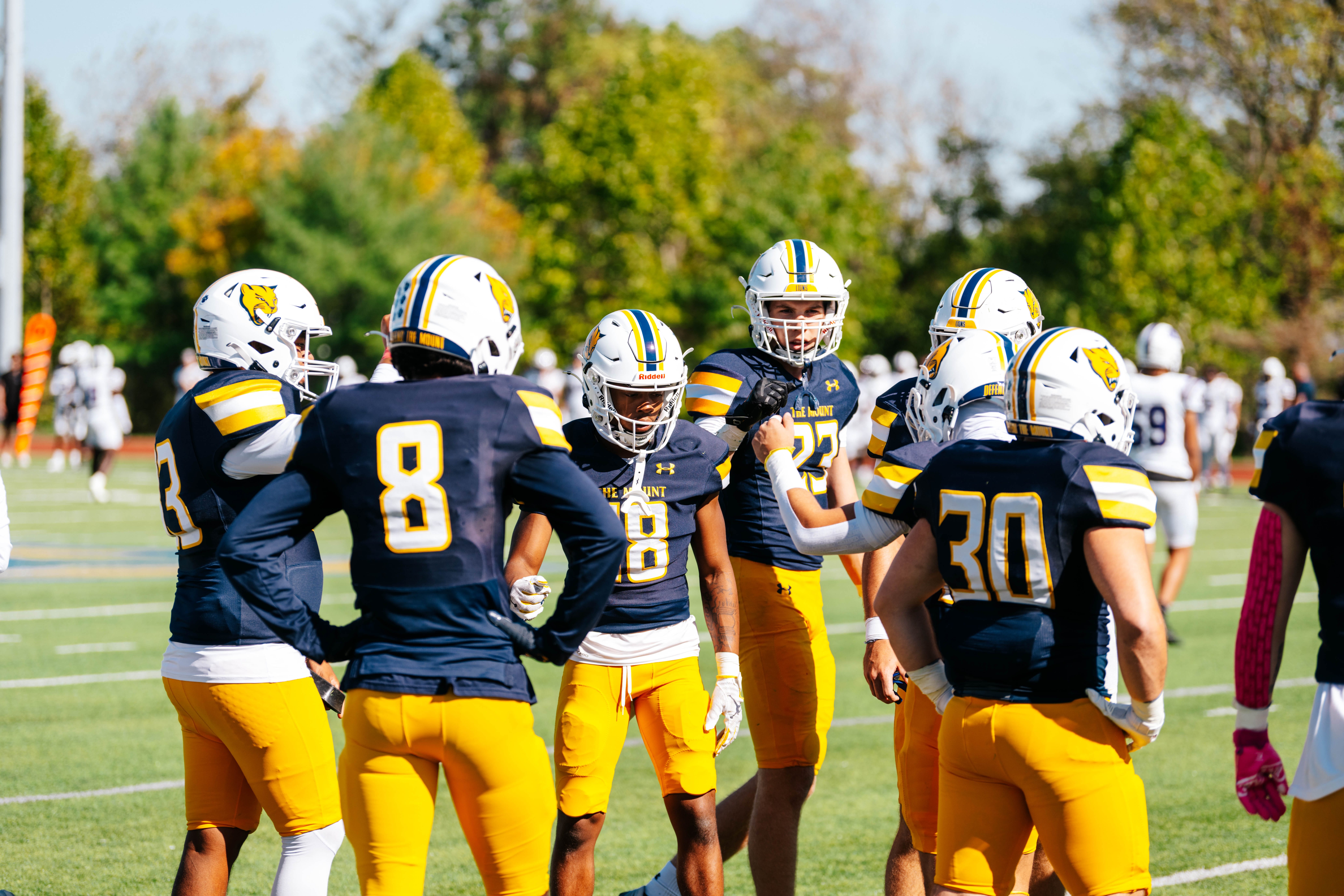 MSJ Tailgate