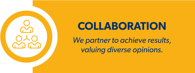 Collaboration, partnering to achieve results and valuing diverse opinions,
