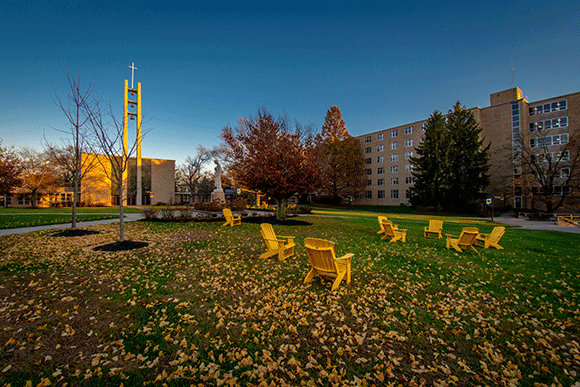 msj quad during fall