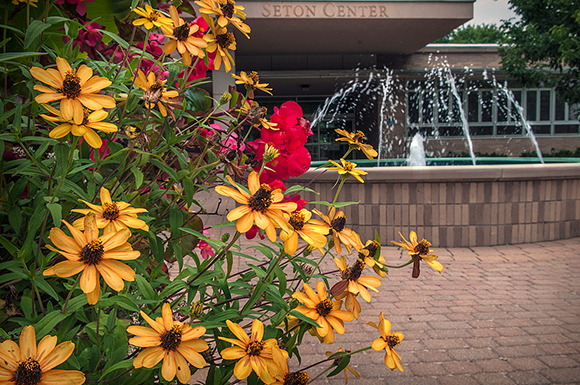 spring flowers in front of fountain