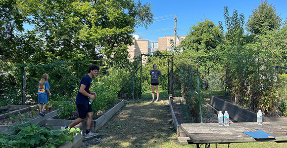 MSJ students pulling weeds on day of service.