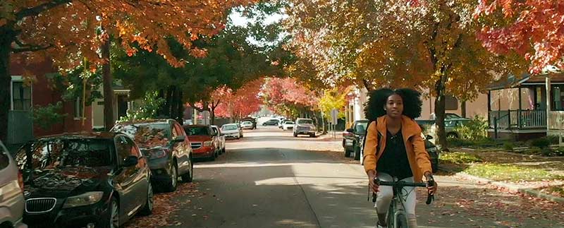 scene00456WebThinkBanner.jpg