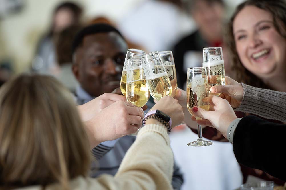 people using champagne glasses to toast