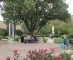 Photo of the Mount's quad.